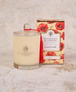 Ellenbryant.shop06216dd6ac 1