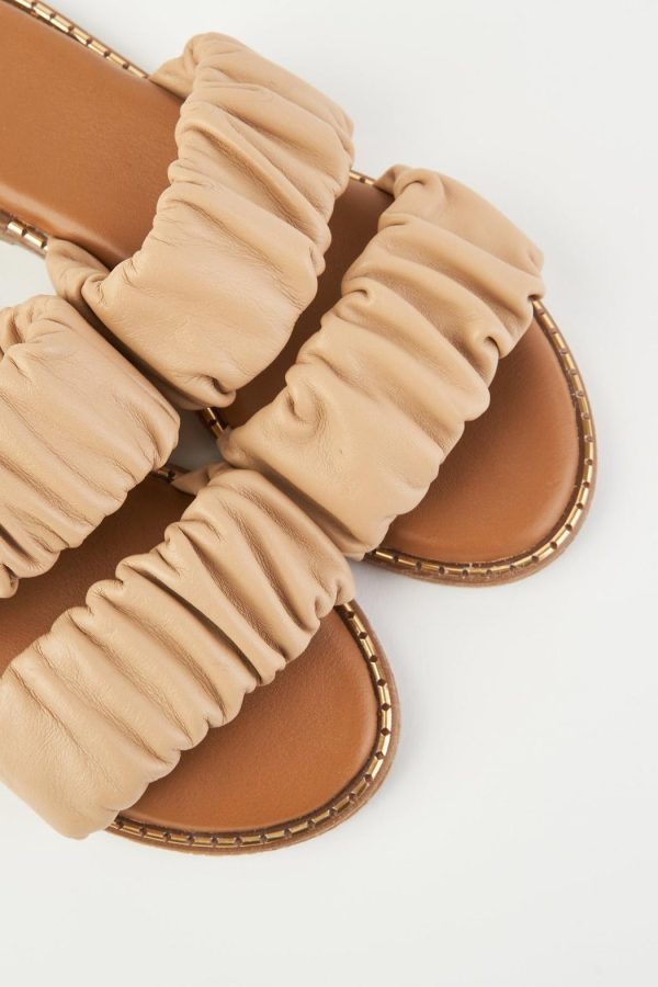 Ellenbryant.shopb6c1bed390 5