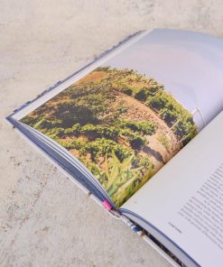 Ellenbryant.shopd9b038e738 3