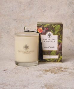 Ellenbryant.shopde5218c945 1